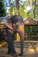 Amritara Shalimar Spice Garden Resort & Spa