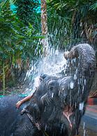 Amritara Shalimar Spice Garden Resort & Spa