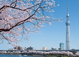 Tokyu Stay Yotsuya Shinjuku Area