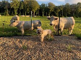 Brit Hotel Lannion Perros