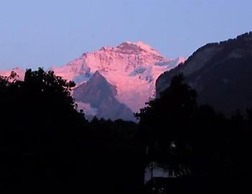 Alpenrose Hotel & Gardens