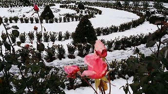 Alpenrose Hotel & Gardens