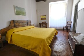 B&B Bonsignori