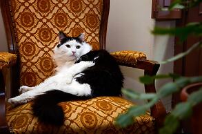 Hôtel Héliot, Cosy Places by Charme & Caractère