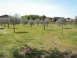 Villa Bongiovanni