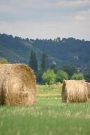 Hotel Dittrichs Erben