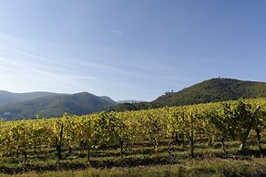 Le Clos Saint Vincent