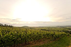 Le Clos Saint Vincent