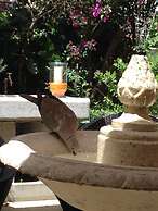 Hotel Chalet de l'Isère