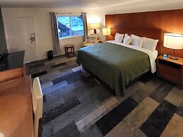 Shelton Inn