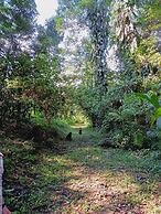 Argovia Finca Resorts