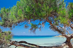 Ikos Olivia - All Inclusive