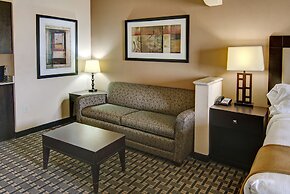 Holiday Inn Express & Suites Paris, Texas by IHG