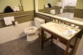 Hotel Indigo Athens University Area by IHG