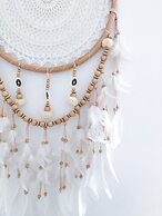 Pension Absolut Berlin