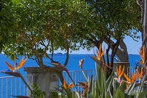 La Maliosa D'Arienzo