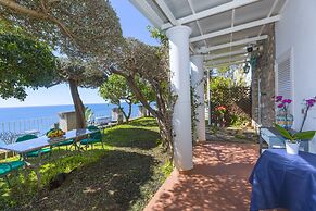 La Maliosa D'Arienzo