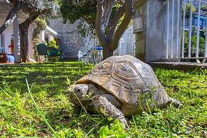 La Maliosa D'Arienzo