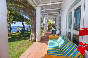 La Maliosa D'Arienzo