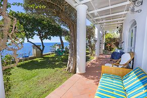 La Maliosa D'Arienzo