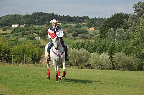 Agriturismo Corte Benedetto