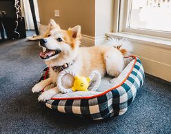 Waldorf Astoria Chicago
