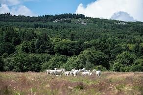 Ballyknocken House and Cookery School