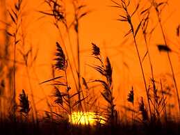 Cas Ferrer Nou Hotelet