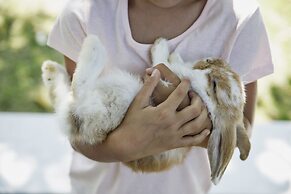 Ferienhotel Trattnig GmbH