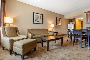 Comfort Inn Warner Robins - Robins Air Force Base Area
