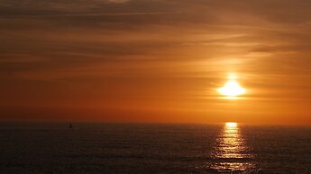 VVF Belle-Île-en-Mer, Le Palais