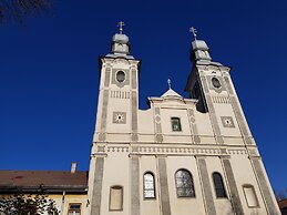 Hotel Tarnava