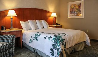 Wingate by Wyndham Elkins