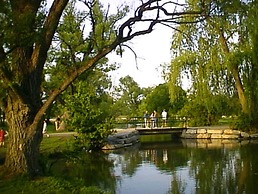 Sunnyside Bed and Breakfast