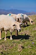 VVF Résidence Pays Basque Saint-Jean-Pied-de-Port