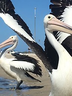 Blue Waters Apartments