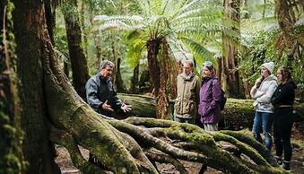Tall Timbers Tasmania
