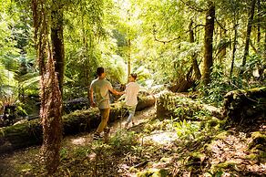 Tall Timbers Tasmania