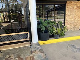 Albert Park Motor Inn