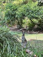Allure Stradbroke Resort