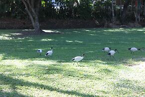 Oasis Inn Cairns