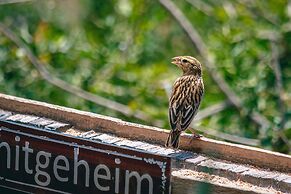 Hitgeheim Country Lodge & Eco Reserve