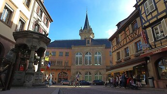 VVF Plaine d'Alsace Obernai Strasbourg
