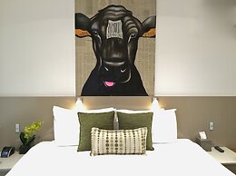 North Adelaide Boutique Stays Accommodation