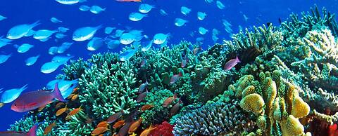 Shingley Beach Resort