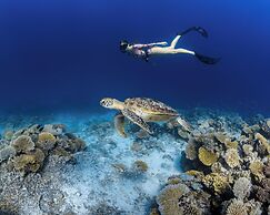 Park Hyatt Maldives Hadahaa