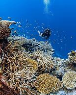 Park Hyatt Maldives Hadahaa