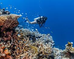 Park Hyatt Maldives Hadahaa