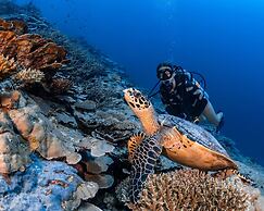 Park Hyatt Maldives Hadahaa