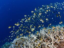 Park Hyatt Maldives Hadahaa